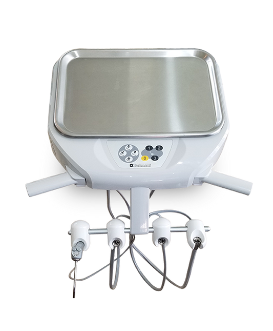 CALL FOR SPECIAL PRICING! Belmont EVG3070D - Evogue Swing Mount Unit