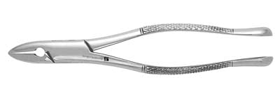 Extracting Forceps #1 - Standard