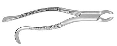 Extracting Forceps #15