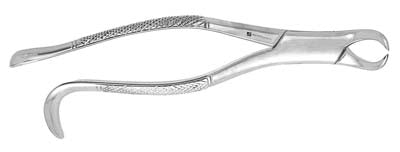 Extracting Forceps #16