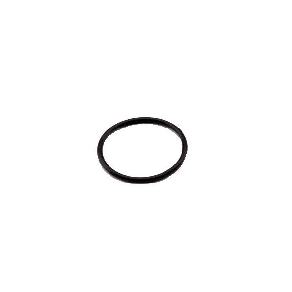 Gasket for Filter Housing, 3/4"