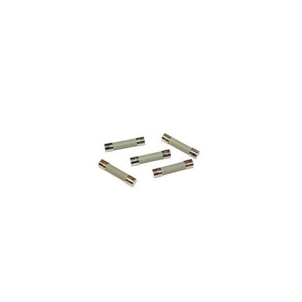 Fuse, Time Delay, Glass, 2 Amp, 250 Volt; Pkg of 5