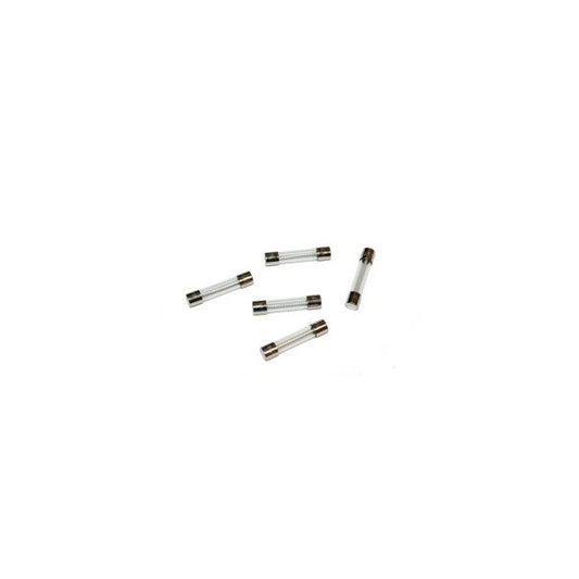 Fuse, Time Delay, Glass, 6-1/4 Amp, 250 Volt; Pkg of 5