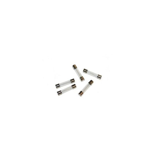 Fuse, Fast Acting, 5 Amp, 250 Volt; Pkg of 5