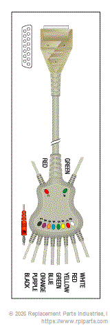 PATIENT CABLE - 10 LEAD FIXED BANANA KKB003